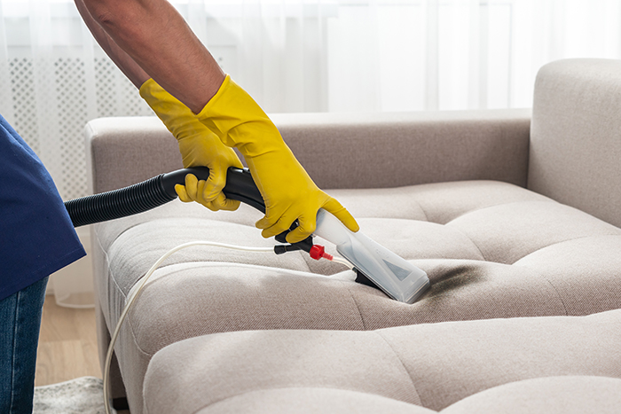 Dry cleaning worker removing dirt from sofa indoors